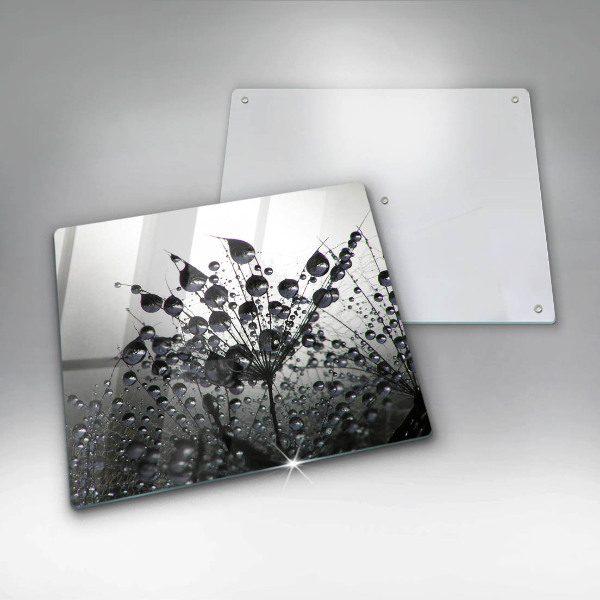 Protector encimera Dientes de león y rocío