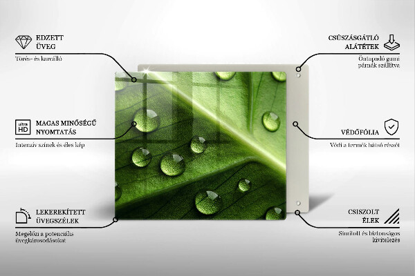 Protector encimera Hoja y rocío de la naturaleza