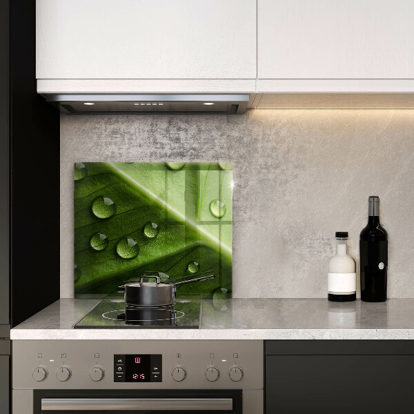 Protector encimera Hoja y rocío de la naturaleza