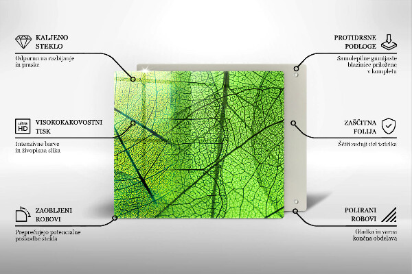 Protector encimera Venas de las hojas naturales