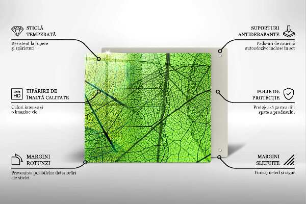 Protector encimera Venas de las hojas naturales
