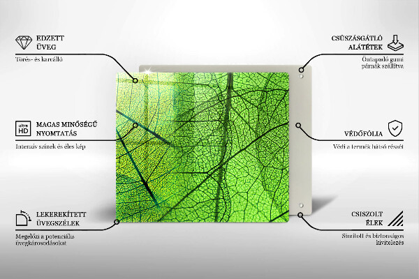 Protector encimera Venas de las hojas naturales