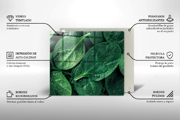 Protector encimera Hojas de albahaca