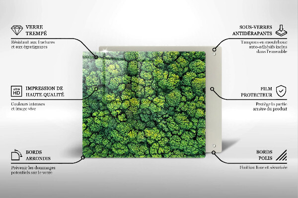 Protector encimera Planta de musgo natural