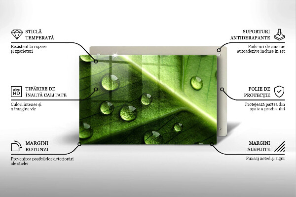 Cubre vitrocerámica Hoja y rocío de la naturaleza