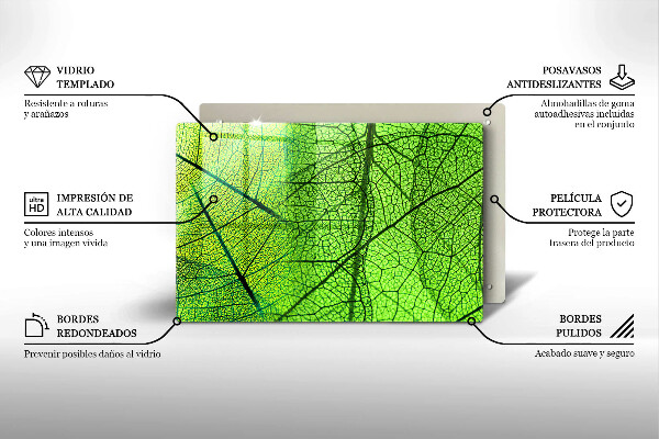 Cubre vitrocerámica Venas de las hojas naturales