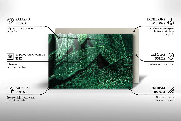 Cubre vitrocerámica Las hojas de la planta