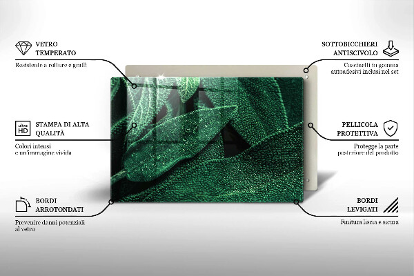 Cubre vitrocerámica Las hojas de la planta