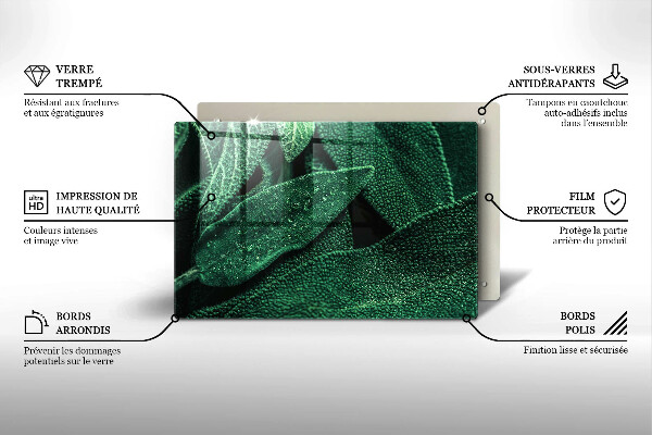 Cubre vitrocerámica Las hojas de la planta