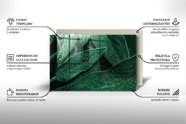 Cubre vitrocerámica Las hojas de la planta