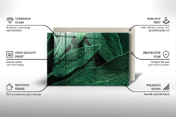 Cubre vitrocerámica Las hojas de la planta