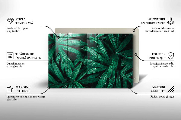 Cubre vitrocerámica Hojas de plantas