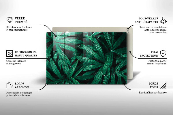 Cubre vitrocerámica Hojas de plantas