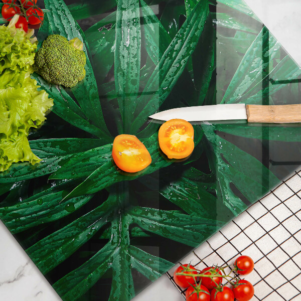 Cubre vitrocerámica Hojas de plantas