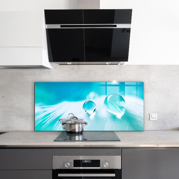 Paneles de vidrio para la cocina Rocío sobre una pluma delicada