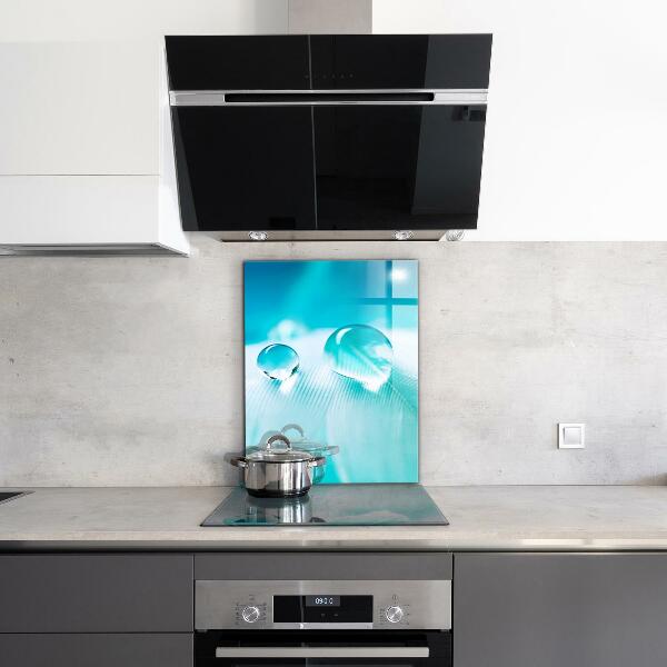 Paneles de vidrio para la cocina Rocío sobre una pluma delicada