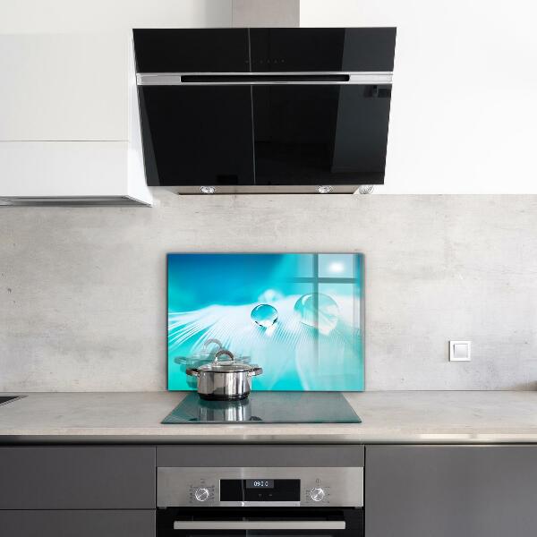 Paneles de vidrio para la cocina Rocío sobre una pluma delicada