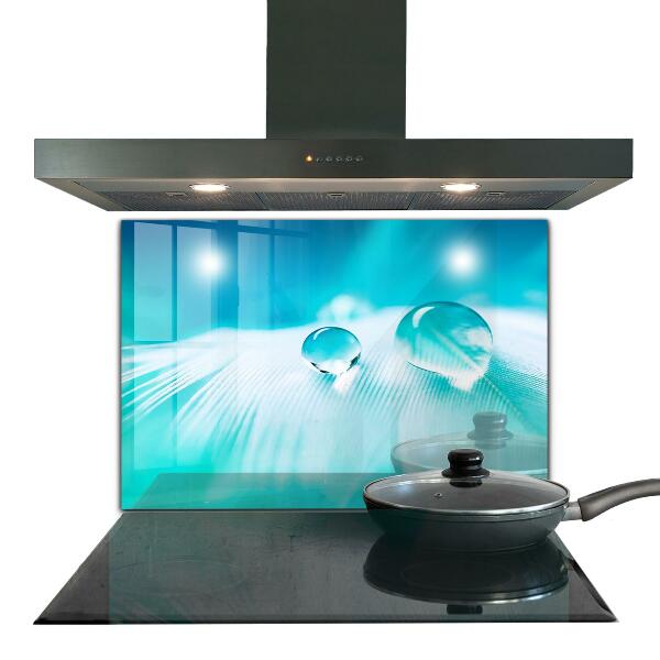 Paneles de vidrio para la cocina Rocío sobre una pluma delicada