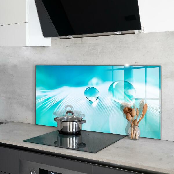 Paneles de vidrio para la cocina Rocío sobre una pluma delicada