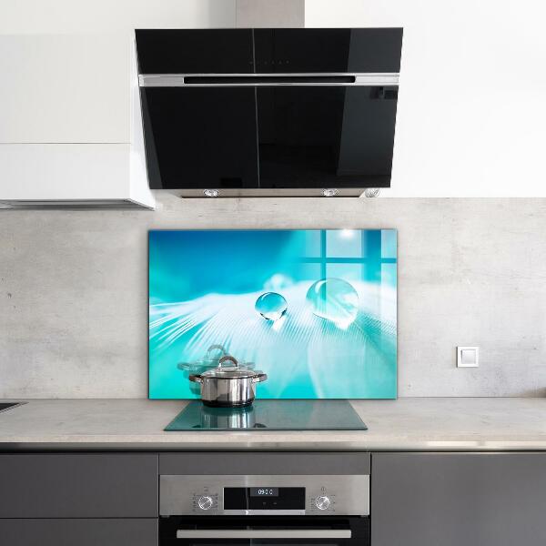 Paneles de vidrio para la cocina Rocío sobre una pluma delicada