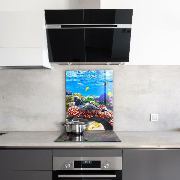 Paneles de pared Arrecife de coral mar rojo