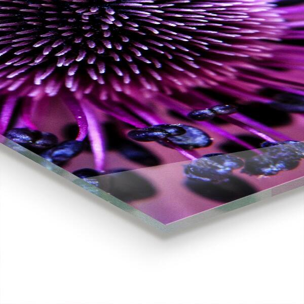 Paneles de pared Flor purpura