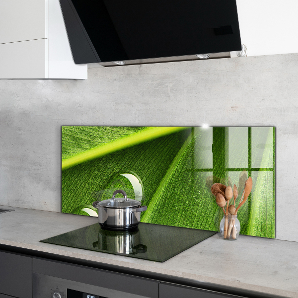 Paneles de pared Gota de rocío sobre una hoja