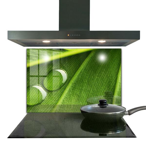 Paneles de pared Gota de rocío sobre una hoja