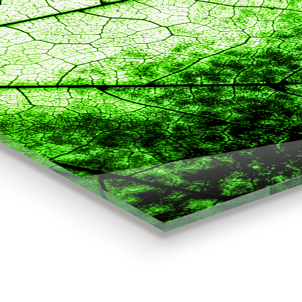 Paneles de pared Textura de hoja verde