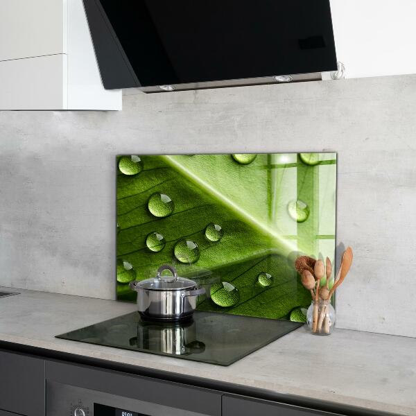 Paneles de pared Hoja con gotas de rocío de la mañana