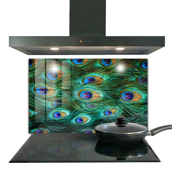 Paneles de vidrio para la cocina Plumas de pavo real hermosa naturaleza