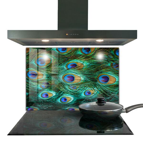 Paneles de vidrio para la cocina Plumas de pavo real hermosa naturaleza