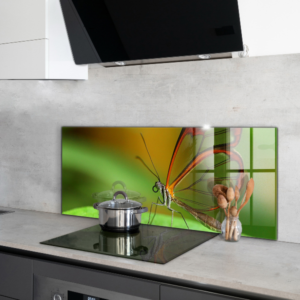 Paneles de pared Mariposa en una hoja