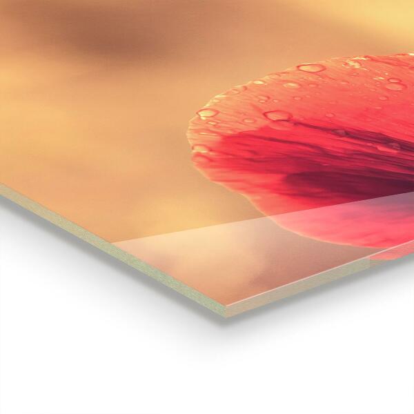 Paneles de pared Planta de amapola vintage