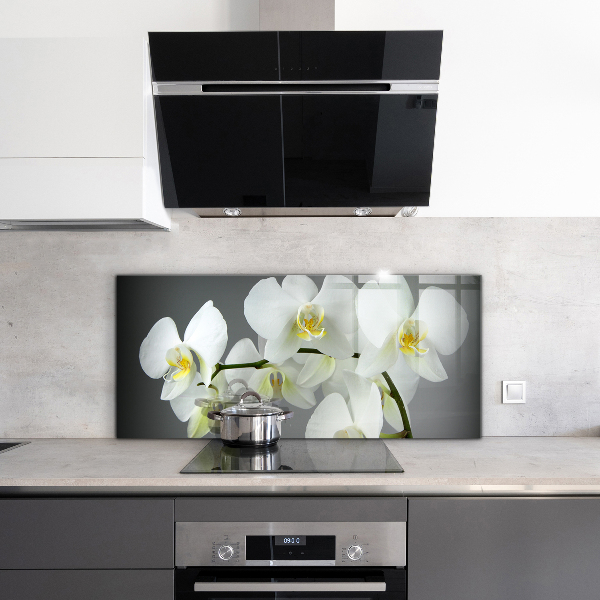 Paneles de pared Orquídea blanca sobre fondo negro