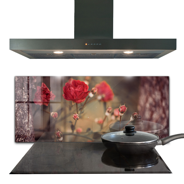 Paneles de pared Rosa salvaje en el parque