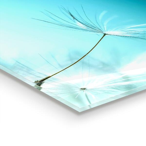 Paneles de pared Diente de león diente de león en el viento