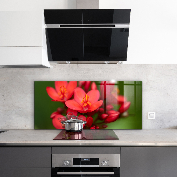 Paneles de pared Capullos de flores en flor