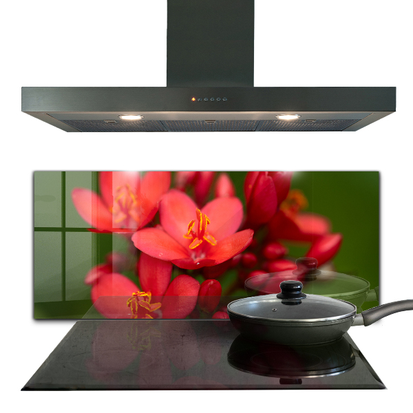 Paneles de pared Capullos de flores en flor