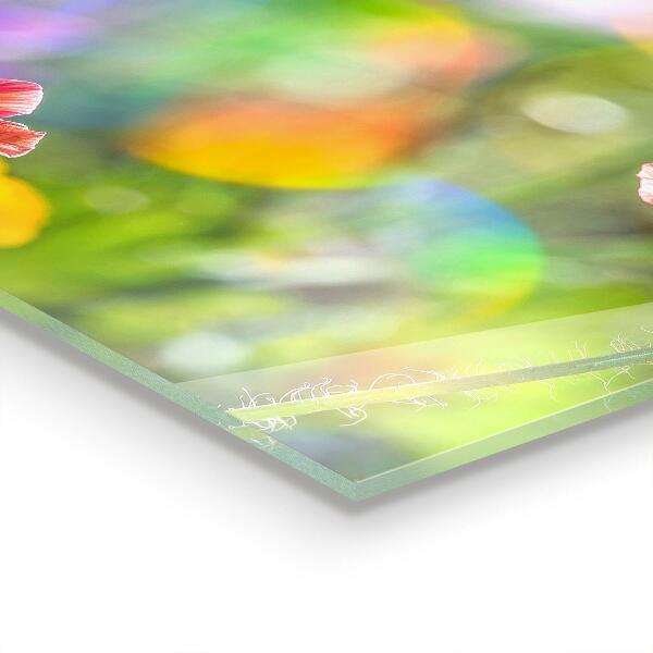 Paneles de pared Pradera de verano de amapolas