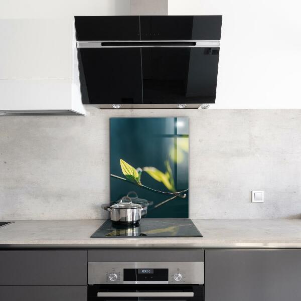 Paneles de pared Hoja brillante en rama