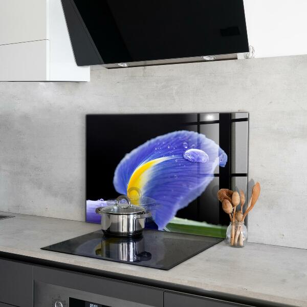 Paneles de pared Flor de iris púrpura