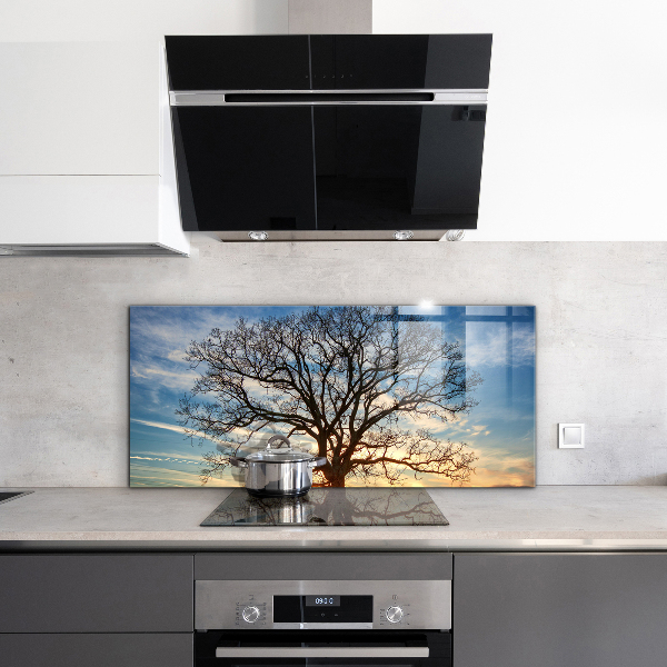 Paneles de pared Prado del paisaje por la mañana