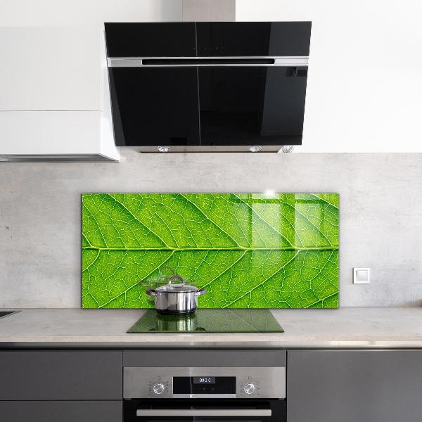 Paneles de pared Detalles delicados de las hojas