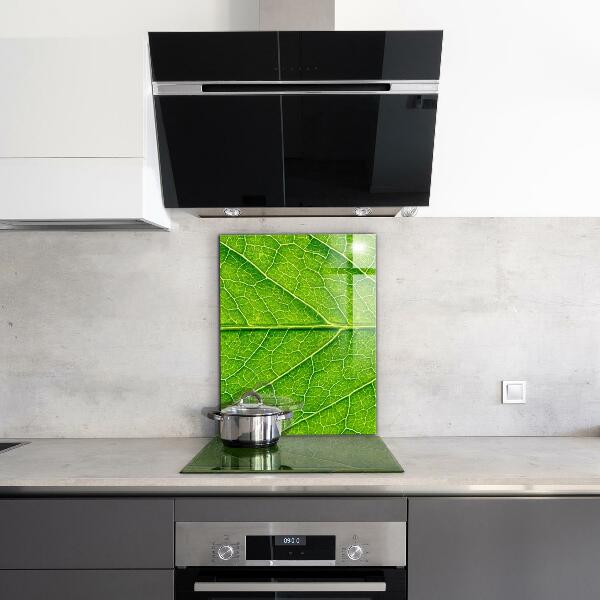 Paneles de pared Detalles delicados de las hojas