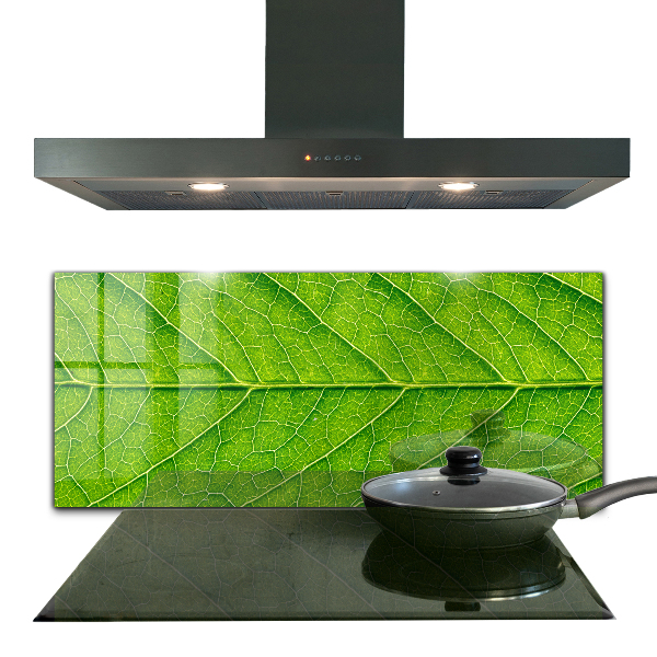 Paneles de pared Detalles delicados de las hojas