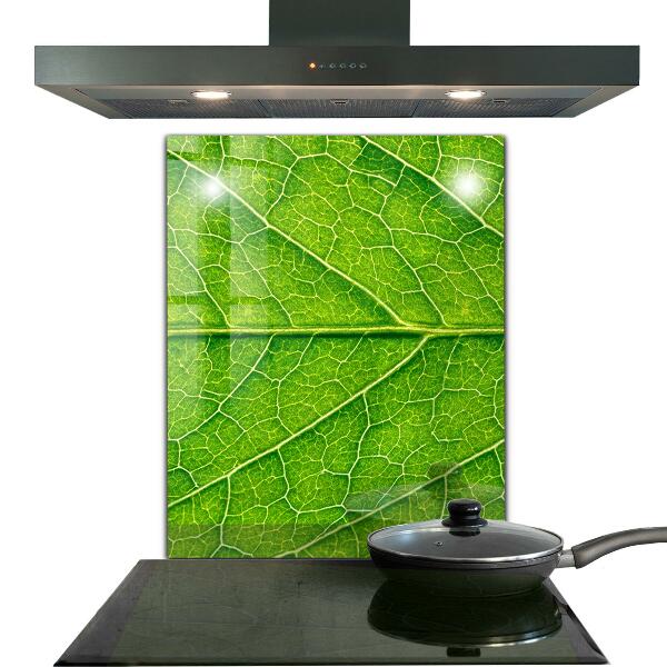 Paneles de pared Detalles delicados de las hojas