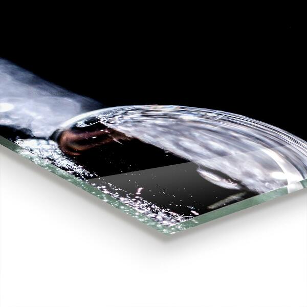 Paneles de vidrio para la cocina Una gota de rocío por la mañana