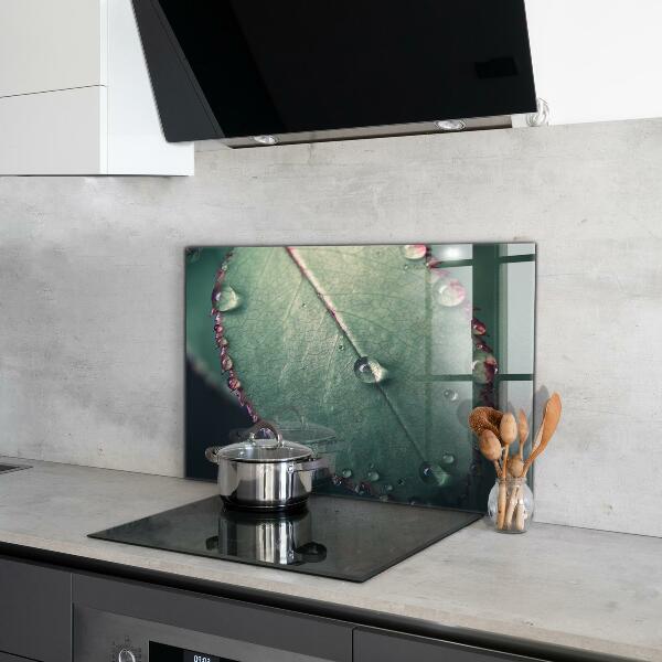 Paneles de pared Hoja con una gota de rocío