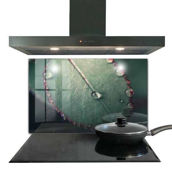 Paneles de pared Hoja con una gota de rocío